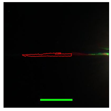 1724_017.1_contour_r