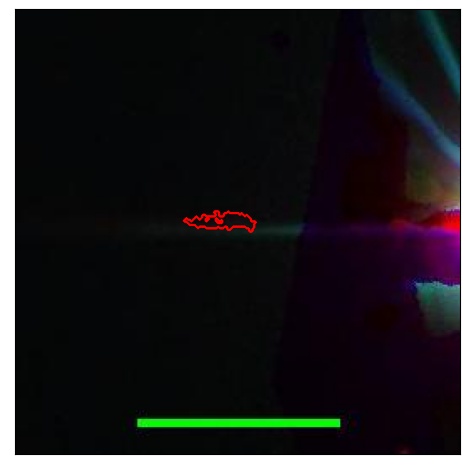 1728_004.0_contour_i