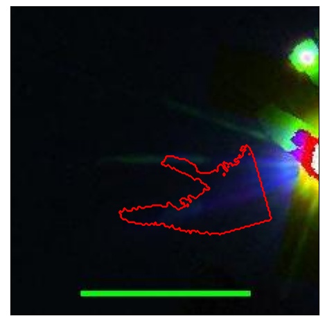 1730_064.0_contour_g