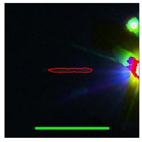 1730_064.0_contour_r