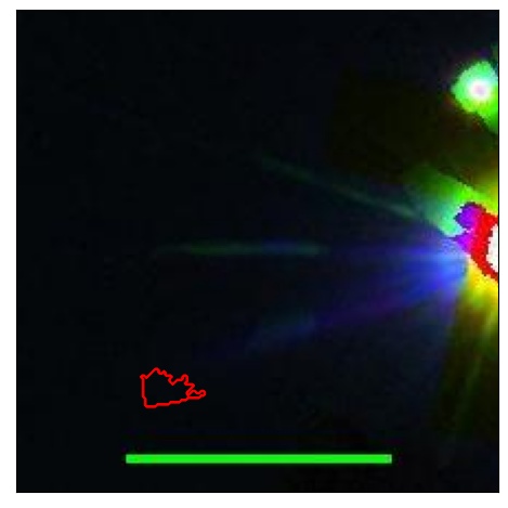 1730_064.0_contour_y