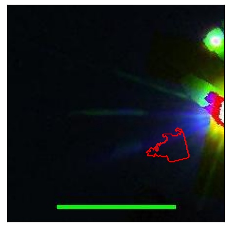 1730_064.0_contour_z