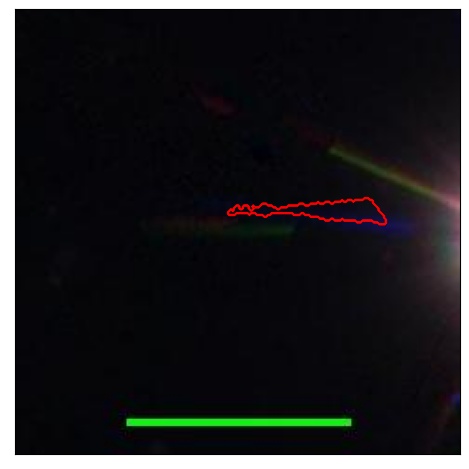 1736_065.0_contour_g