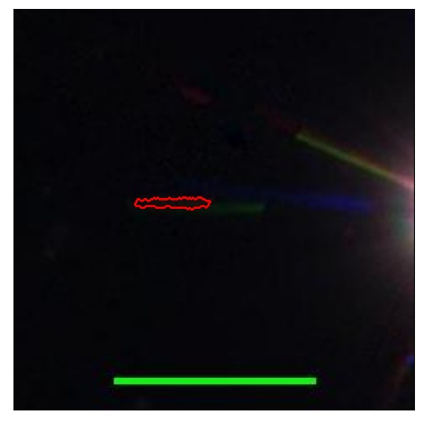 1736_065.0_contour_i