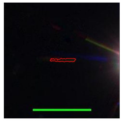 1736_065.0_contour_r