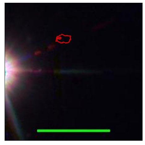 1736_065.1_contour_i