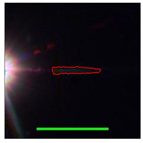 1736_065.1_contour_r