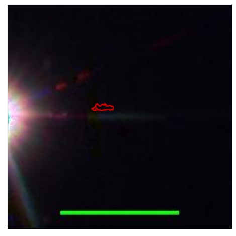 1736_065.1_contour_z