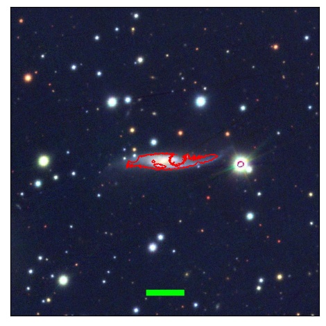 1741_008.0_contour_g