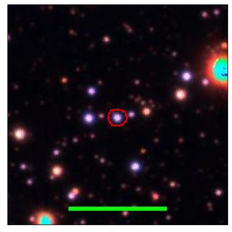 1748_011.0_contour_g