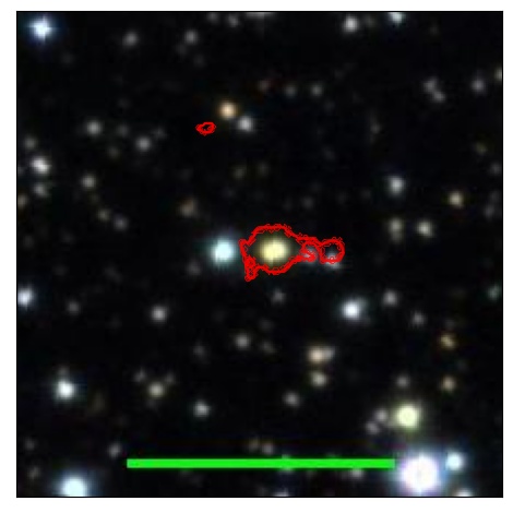 1749_048.1_contour_y