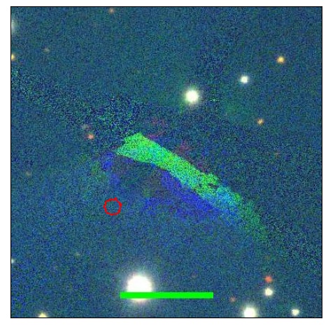 1781_096.0_contour_y