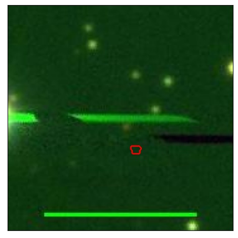 1784_011.0_contour_g