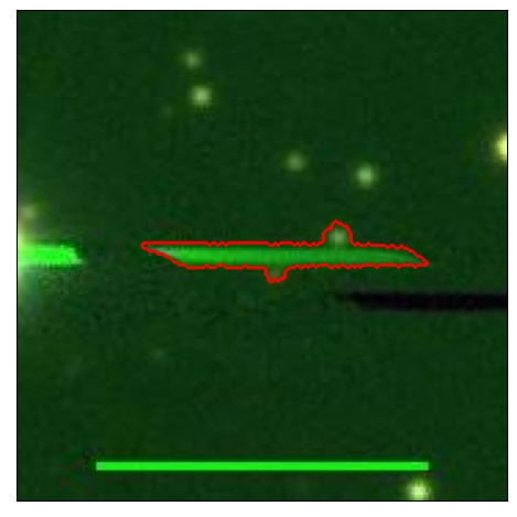 1784_011.0_contour_r