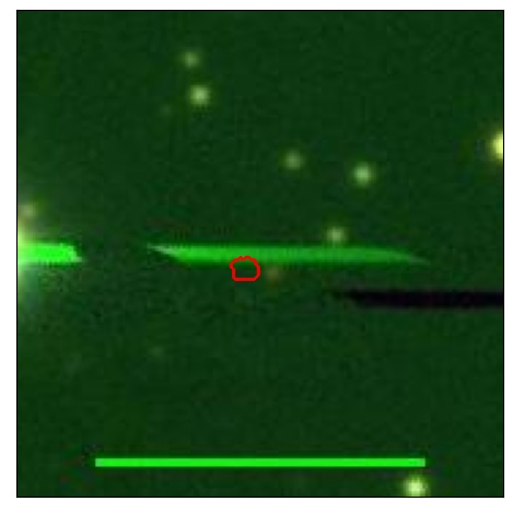 1784_011.0_contour_z