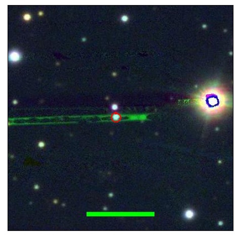 1784_052.1_contour_g