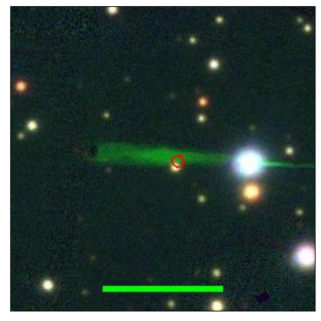 1785_024.0_contour_g