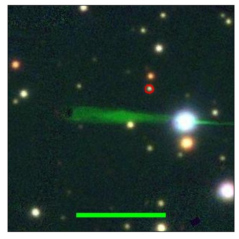 1785_024.0_contour_r