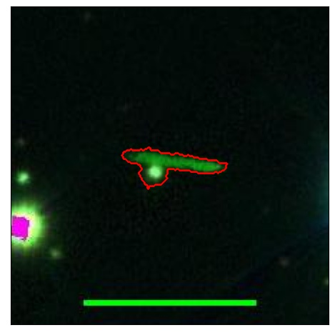 1785_024.1_contour_r