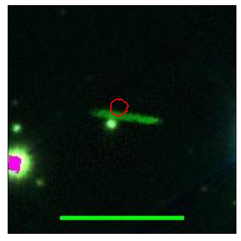 1785_024.1_contour_y