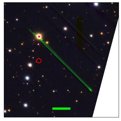 1785_074.1_contour_y