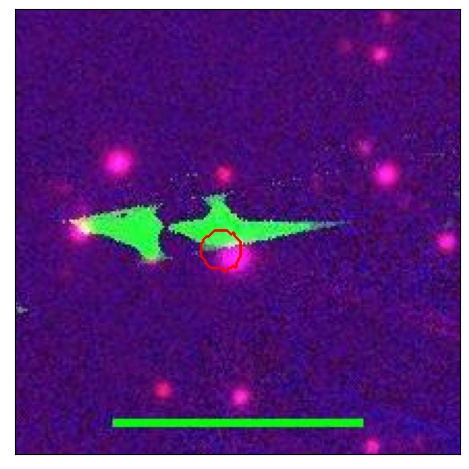 1785_099.0_contour_i