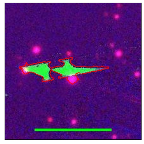 1785_099.0_contour_r