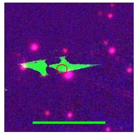 1785_099.0_contour_z