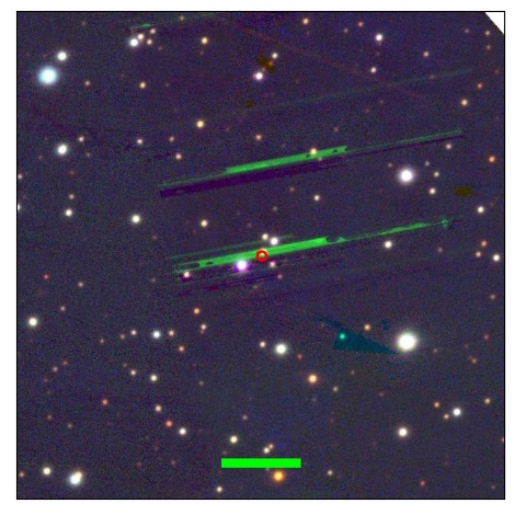 1786_004.0_contour_z