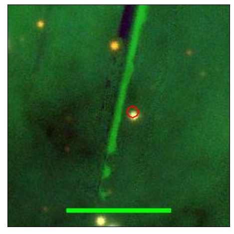 1786_019.0_contour_g