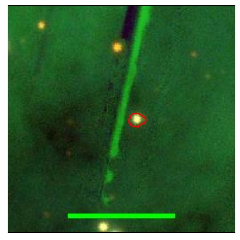 1786_019.0_contour_z