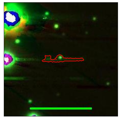 1786_024.0_contour_r