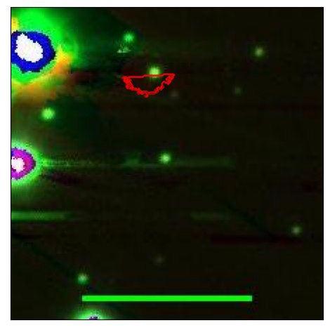 1786_024.0_contour_y