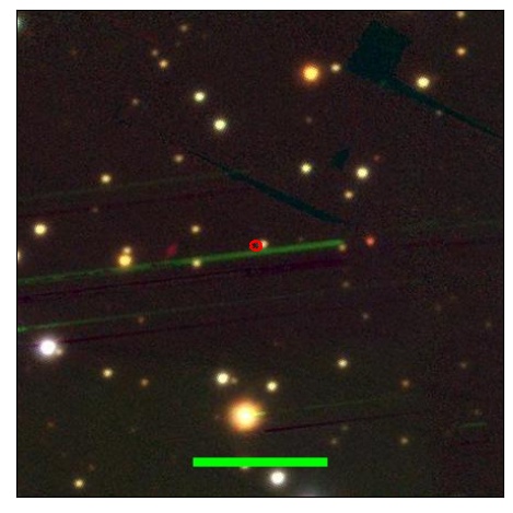 1786_025.0_contour_g