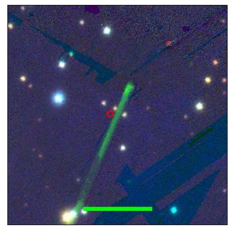 1786_055.1_contour_z