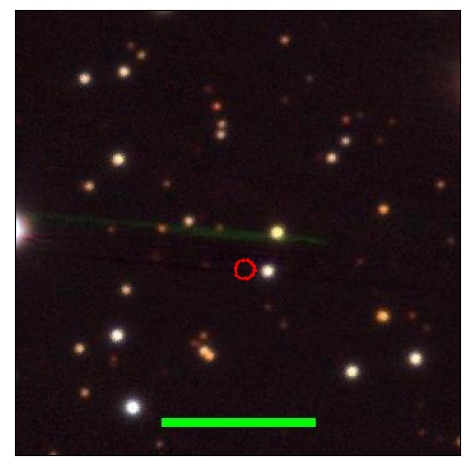 1786_079.1_contour_y