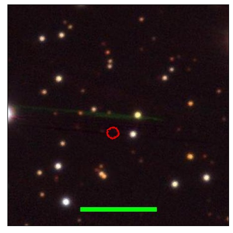 1786_079.1_contour_z