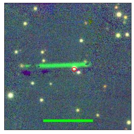 1786_082.0_contour_y