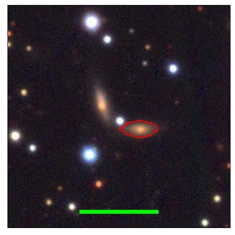 1787_041.0_contour_r