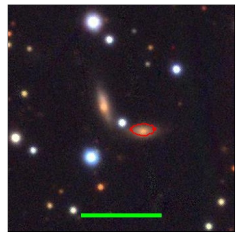 1787_041.0_contour_y