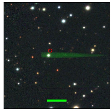 1787_082.1_contour_y