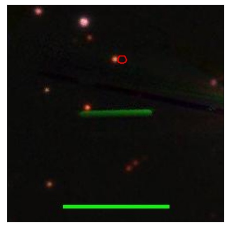 1787_097.1_contour_g