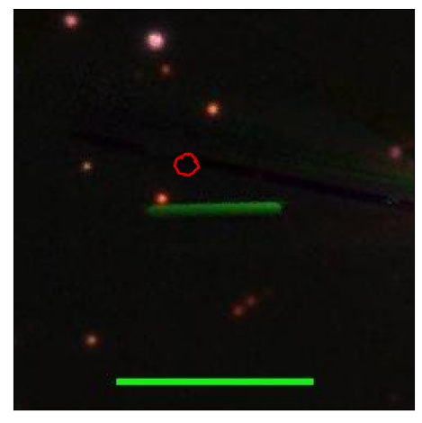 1787_097.1_contour_i