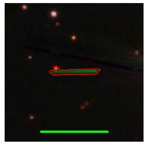 1787_097.1_contour_r