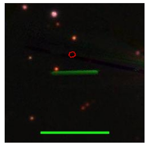 1787_097.1_contour_y