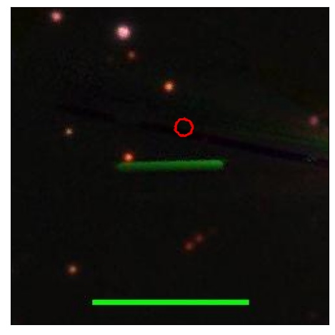 1787_097.1_contour_z