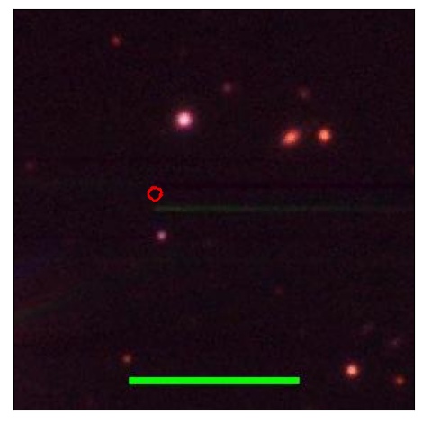 1789_028.1_contour_g