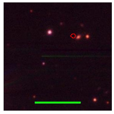 1789_028.1_contour_y