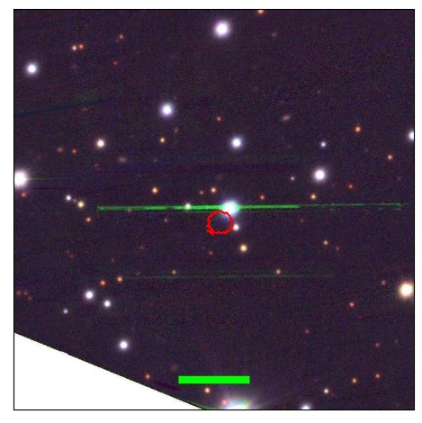 1789_031.1_contour_i