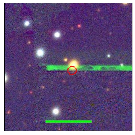 1790_005.0_contour_g